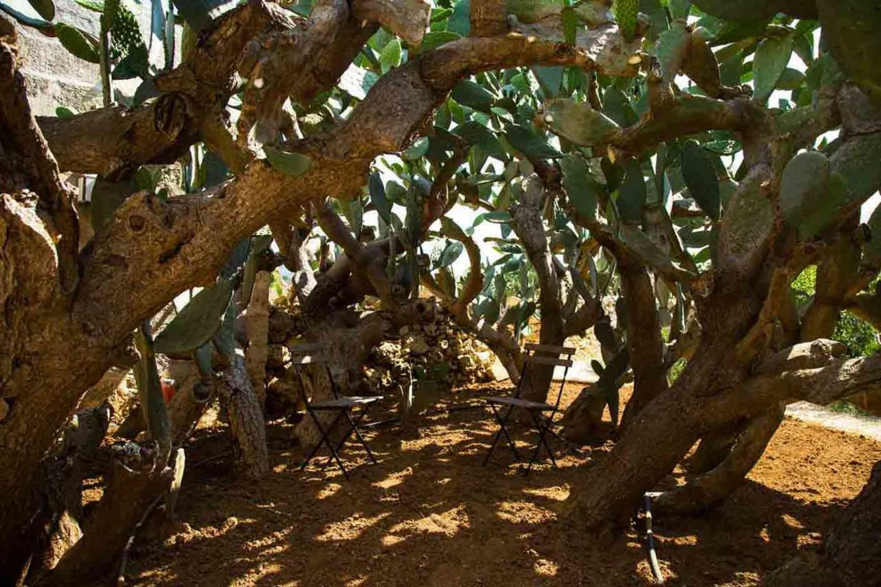 Masseria Celano Grottaglie Luaran gambar