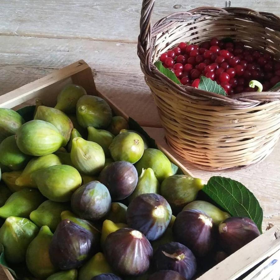 Masseria Celano Grottaglie Luaran gambar